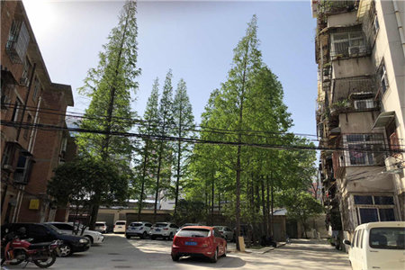 诸城市帝邦小区2室1厅1卫73㎡