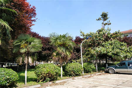 高档住宅富人区豪华装修黄金楼层过户费低拎包即住随时看房